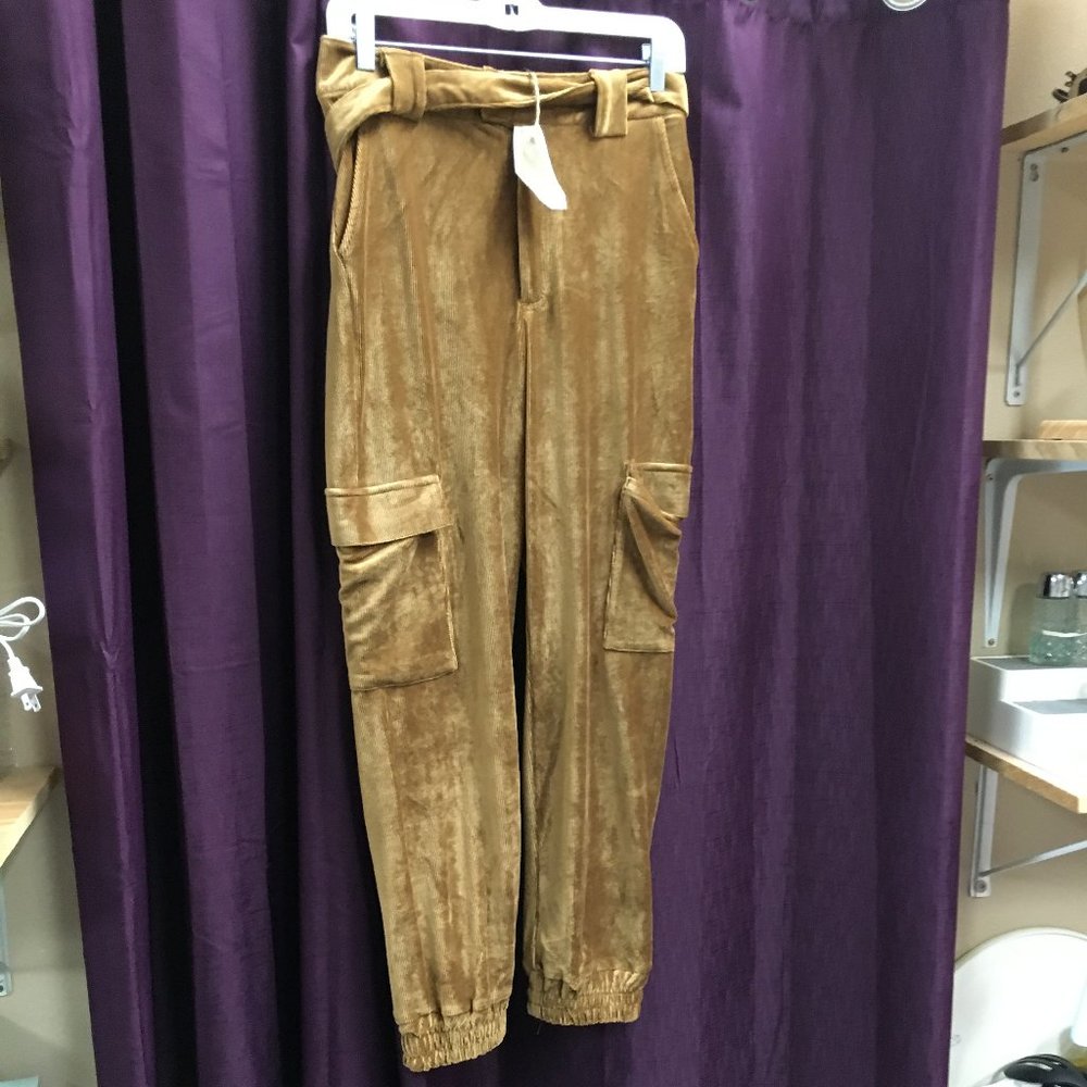 Easel Velvet Pants with belt